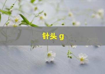 针头 g